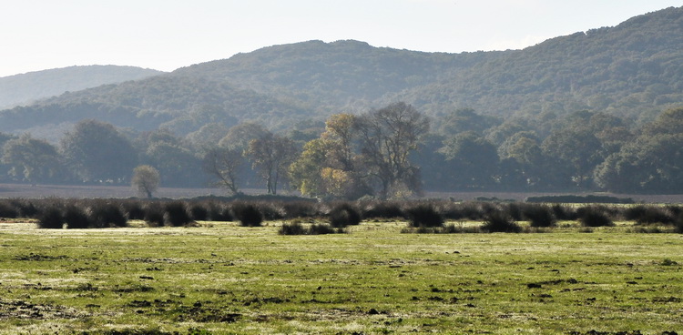 Da Alberese a Bocca d''Ombrone